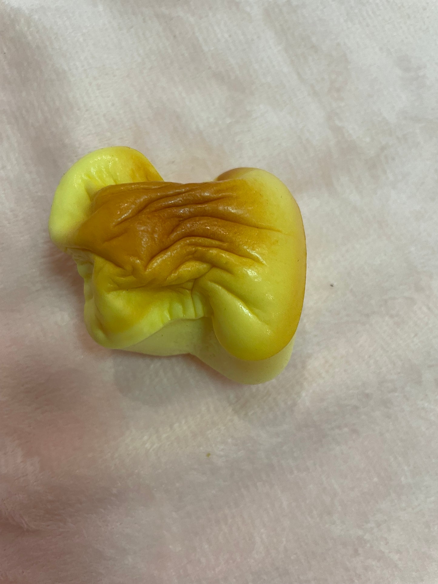 Toasted bread squishy