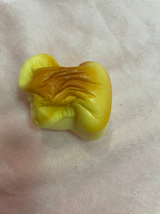 Toasted bread squishy