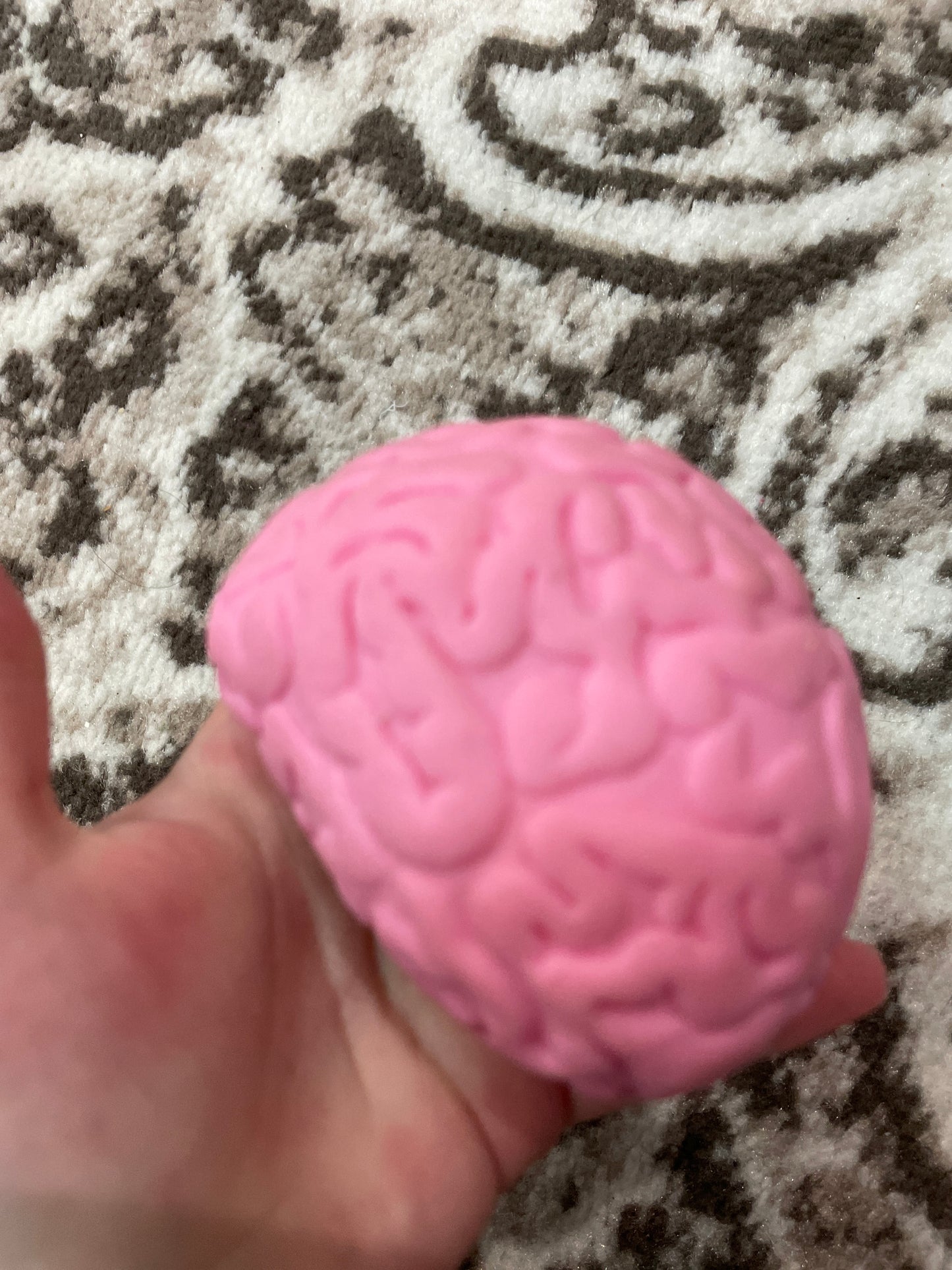 Squishy brain