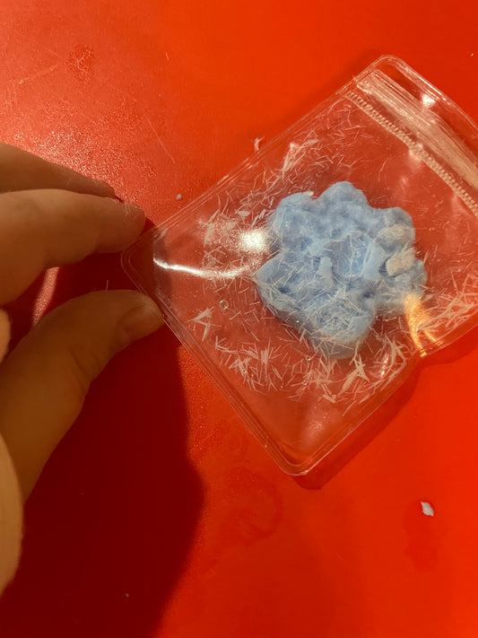 Blue paw mini taba squishy